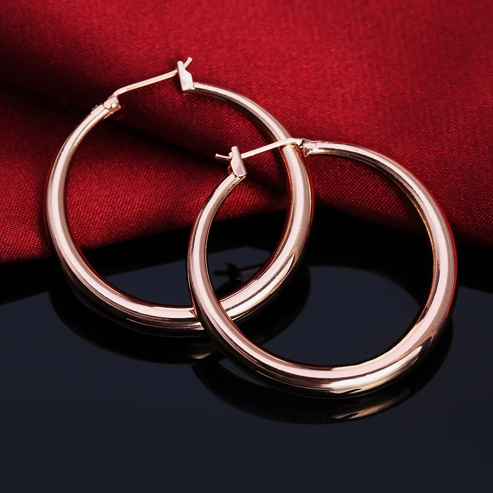 Heiße Luxus-Ohrringe aus 925er – Street Fashion Earrings Bewertung und Preis